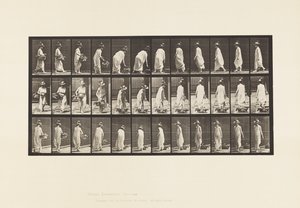 Plade 229. Anbringelse af kurv på jorden og drejning af Eadweard Muybridge