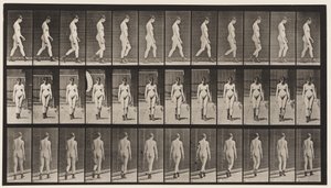 Plade 22. Gå, med højhælede støvler på, 1872-1885 af Eadweard Muybridge