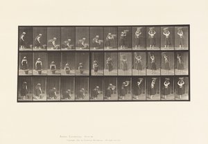 Plade 230. Løfter 30 lb kurv fra jord til hoved, drejning, 1885 af Eadweard Muybridge