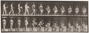 Plade 237. Siddende på stol og åbningsventilator, 1872-1885 af Eadweard Muybridge