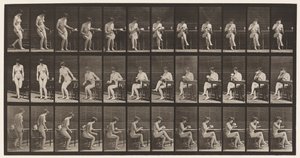 Tallerken 238. Sidder på stol, krydser ben, drikker af tekop af Eadweard Muybridge