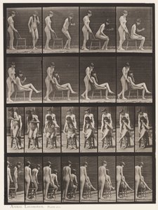 Plade 239. To modeller; Den ene stående, den anden siddende, krydsende ben af Eadweard Muybridge