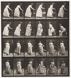 Plade 243.Placering af stol, siddende og flirtende ventilator af Eadweard Muybridge