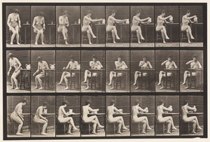 Tallerken 244. Siddende krydsende ben, fyldebæger fra kande af Eadweard Muybridge