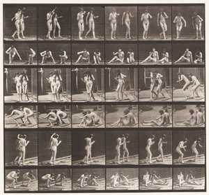 Plade 245. To modeller, der snurrer rundt, sidder på jorden af Eadweard Muybridge