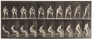 Tallerken 249. Op fra stolen af Eadweard Muybridge