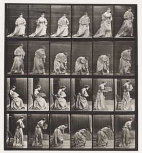 Tallerken 250. Op fra stolen, bøjet og løftende tørklæde af Eadweard Muybridge