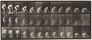 Plade 252. Knælende på højre knæ og skrubning af gulvet, 1872-1885 af Eadweard Muybridge