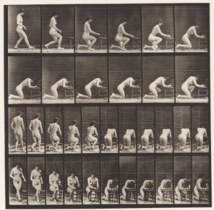 Tallerken 254. Knælende, Albuer på Stol, Hænder spændte af Eadweard Muybridge