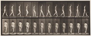 Plade 25. Gå, med højhælede sko på af Eadweard Muybridge