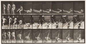 Tavle 261. At komme i hængekøje, 1872-1885 af Eadweard Muybridge