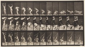 Plade 262. At komme ud af hængekøjen af Eadweard Muybridge