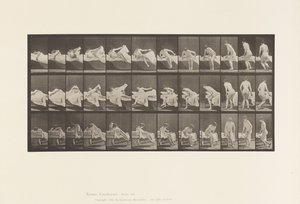 Tallerken 264. At stå ud af sengen og gøre klar til at knæle af Eadweard Muybridge