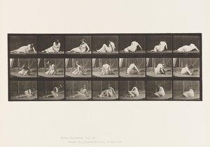 Plade 267. Drejning og ændring af position på jorden, 1885 af Eadweard Muybridge