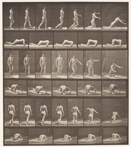 Tavle 272. Snubler og falder på jorden af Eadweard Muybridge