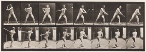 Plade 279.Base-ball; Batting, 1885 af Eadweard Muybridge