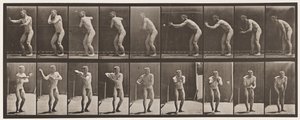 Plade 281. Base-ball; Fangst og Kast af Eadweard Muybridge