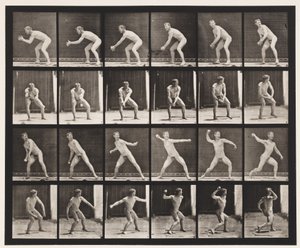 Plade 283.Base-ball; Fangst og Kast, 1885 af Eadweard Muybridge