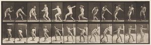Plade 284.Base-ball; Fangst og Kast, 1885 af Eadweard Muybridge