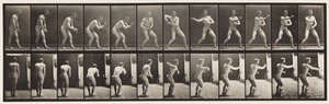 Plade 285. Base-ball; Fangst og Kast af Eadweard Muybridge