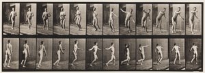 Tallerken 289.Cricket; Round Arm Bowling, 1885 af Eadweard Muybridge