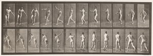 Tallerken 290.Cricket; Over Arm Bowling, 1885 af Eadweard Muybridge