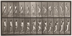 Tallerken 291.Cricket; Batting; Drive, 1885 af Eadweard Muybridge
