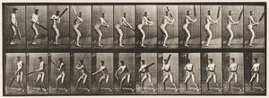 Tallerken 293.Cricket; Batting; Back Cut, 1885 af Eadweard Muybridge