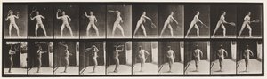 Plade 294. Plænetennis; Betjener af Eadweard Muybridge