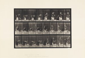 Plade 295. Plænetennis; Betjener af Eadweard Muybridge