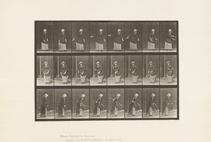 Plade 296. Plænetennis af Eadweard Muybridge