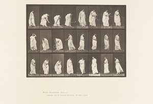 Tallerken 299. Leg med en bold af Eadweard Muybridge