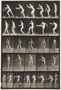 Tallerken 300. Fodbold; drop kick, 1885 af Eadweard Muybridge