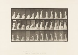 Tallerken 305. At tage en bold op og kaste den, 1885 af Eadweard Muybridge