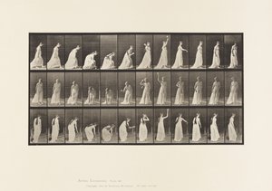 Tallerken 306. At tage en bold op og kaste den, 1885 af Eadweard Muybridge