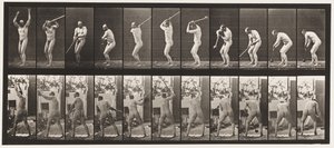 Tavle 308. At kaste hammeren, 1885 af Eadweard Muybridge