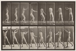 Plade 309. At kaste hammeren af Eadweard Muybridge
