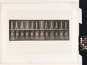 Tallerken 30. Gående, med en spand vand i hver hånd af Eadweard Muybridge