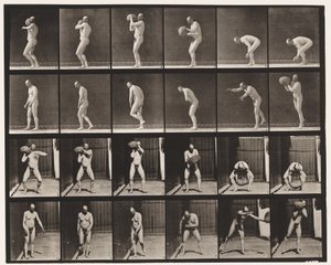 Plade 312. Hæver en 75-lb sten af Eadweard Muybridge