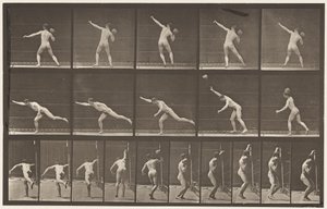 Plade 313. Heaving a 20-lb Rock, 1885 af Eadweard Muybridge