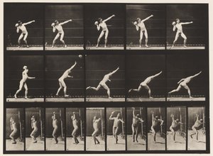 Plade 314. Hæver en 20-lb sten af Eadweard Muybridge