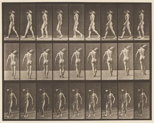 Plade 31. Gående, bærende 75-lb sten på højre skulder af Eadweard Muybridge