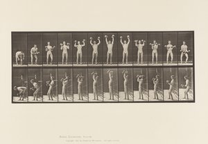 Tallerken 322. Mand løfter håndvægte af Eadweard Muybridge