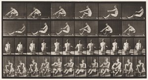Tavle 327. Roning af Eadweard Muybridge