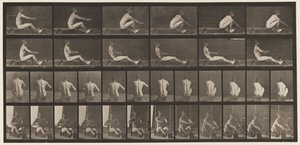 Tavle 328. Roning af Eadweard Muybridge