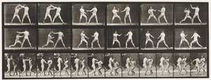 Tavle 329. Boksning; (Sko) af Eadweard Muybridge