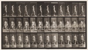 Plade 32. Gående, bærende spand vand i hver hånd af Eadweard Muybridge