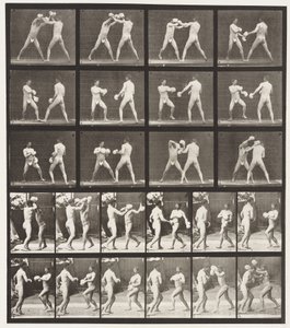 Tavle 334. Boksning; Med handsker (sko) af Eadweard Muybridge