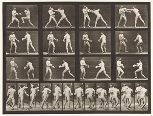 Tavle 335. Boksning; Med handsker af Eadweard Muybridge