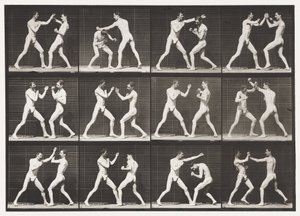 Tavle 336. Boksning; Åben hånd (sko) af Eadweard Muybridge